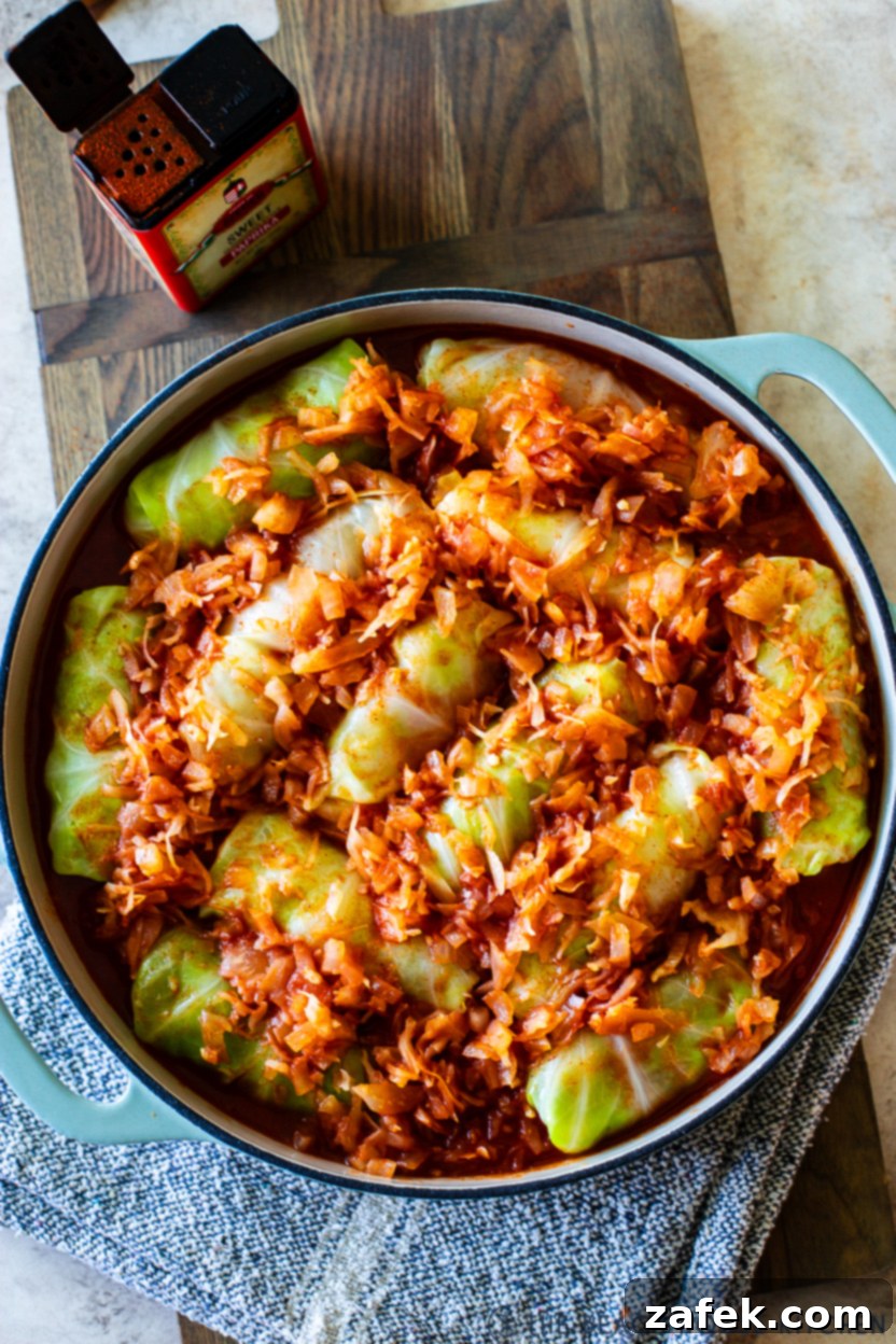 Overhead photo of pre-cooked stuffed cabbage