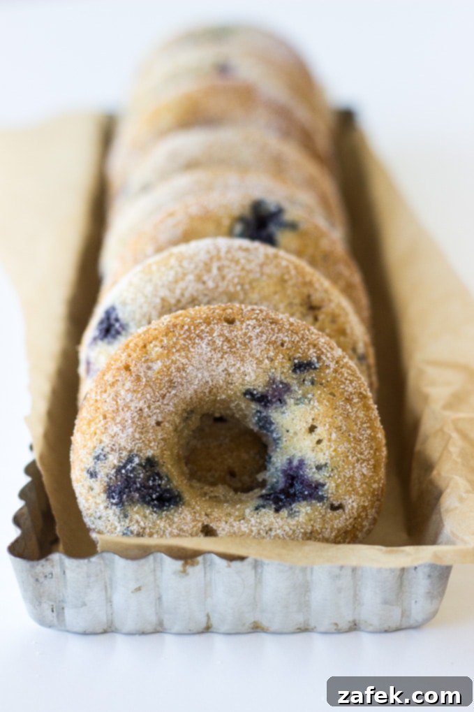Baked Buttermilk Blueberry Donuts ready to be served on a white plate