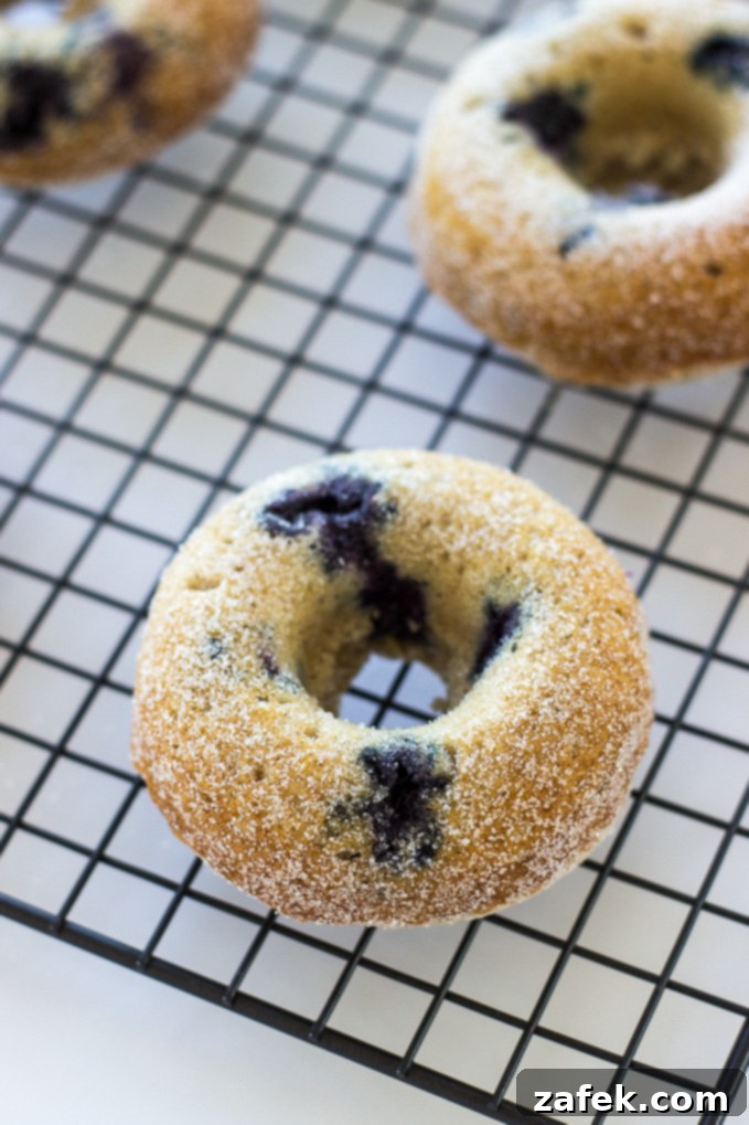 Close-up of golden-brown baked buttermilk blueberry donuts on a wire rack