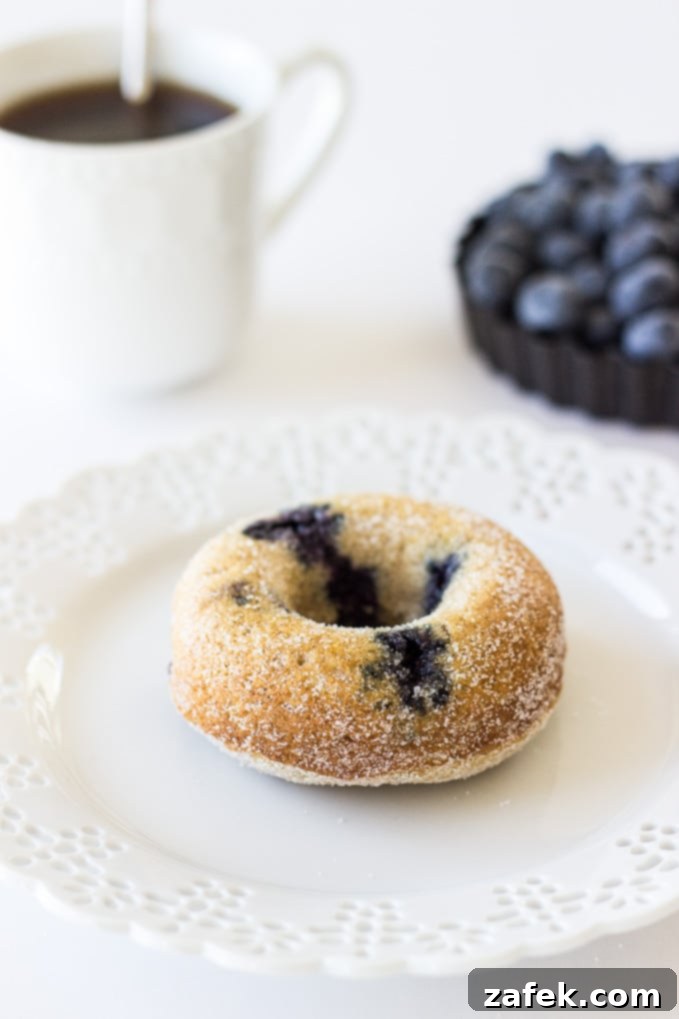 Several delicious baked buttermilk blueberry donuts on a marble surface