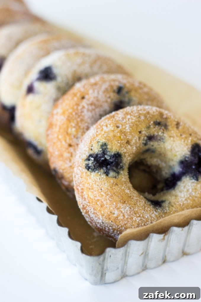 A plate featuring two golden-brown baked buttermilk blueberry donuts dusted with sugar