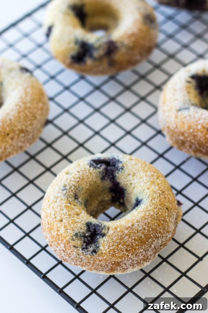 Baked buttermilk blueberry donuts cooling on a wire rack after being removed from the pan