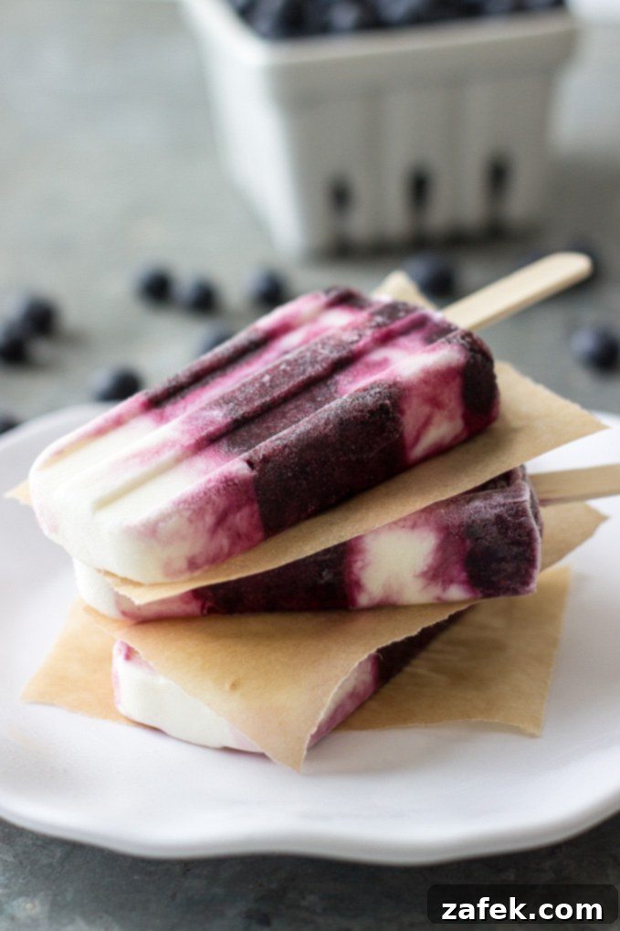 Marbled Blueberry Vanilla Pops 2 Delicious Blueberry Vanilla Swirl Popsicles: A Healthy & Refreshing Treat for All Seasons