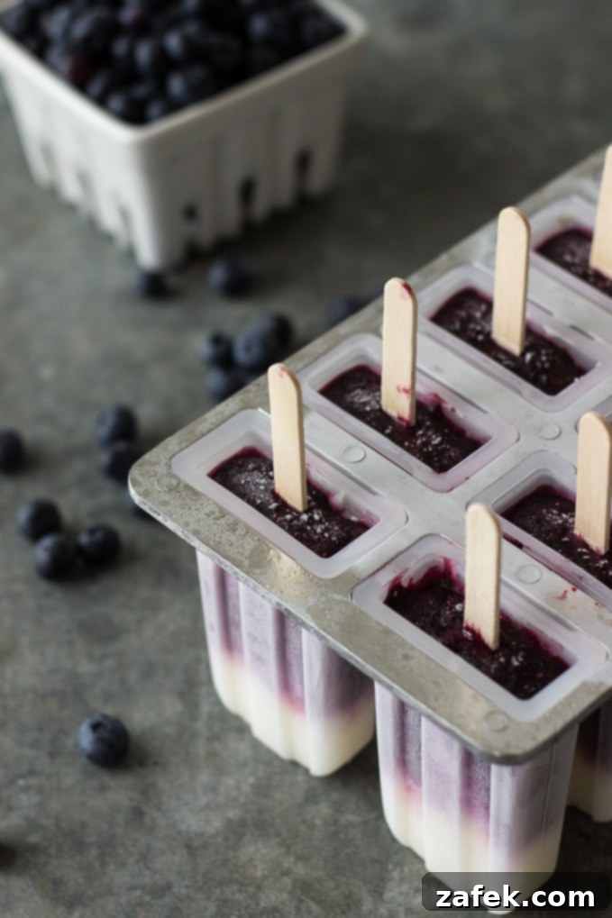 Marbled Blueberry Vanilla Pops 3 Enjoying homemade Blueberry Vanilla Swirl Popsicles on a sunny day