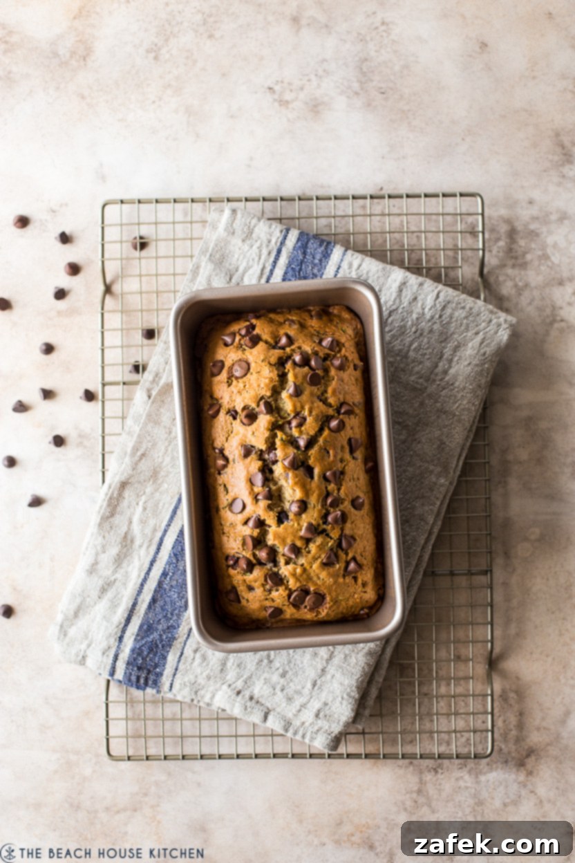 Decadent Chocolate Chip Zucchini Loaf 3 Overhead photo of a whole chocolate chip zucchini bread in a loaf pan, cooling on a wire rack.