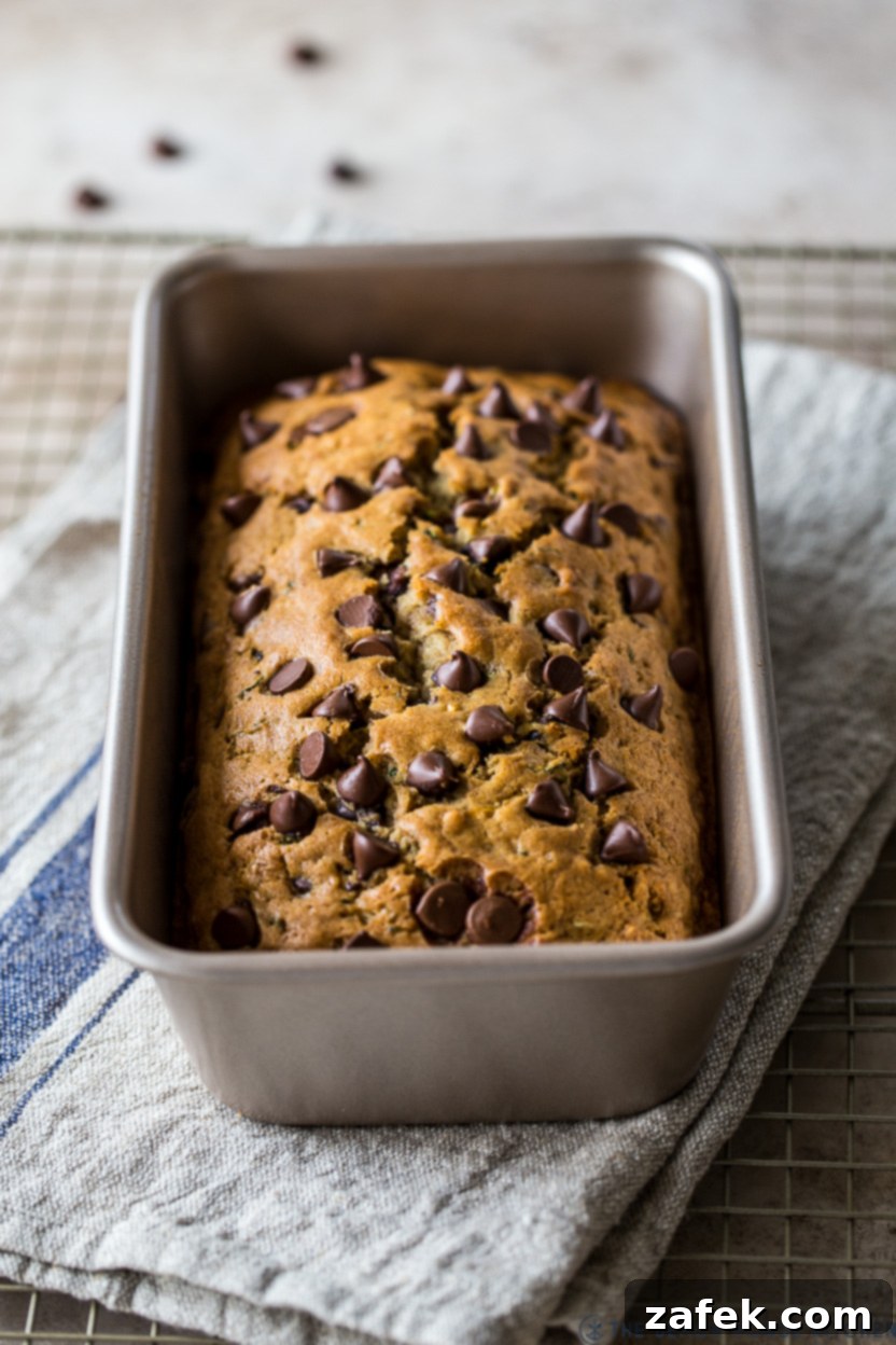 Decadent Chocolate Chip Zucchini Loaf 10 A freshly baked chocolate chip zucchini bread sitting proudly in its loaf pan.
