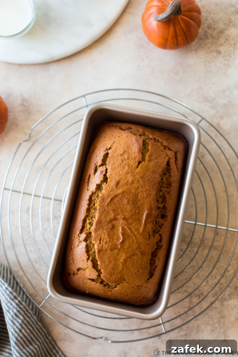 Cozy Maple Kissed Pumpkin Bread 4 An overhead view of a pre-glazed pumpkin bread, golden brown and perfectly risen, resting in a loaf pan before glazing.