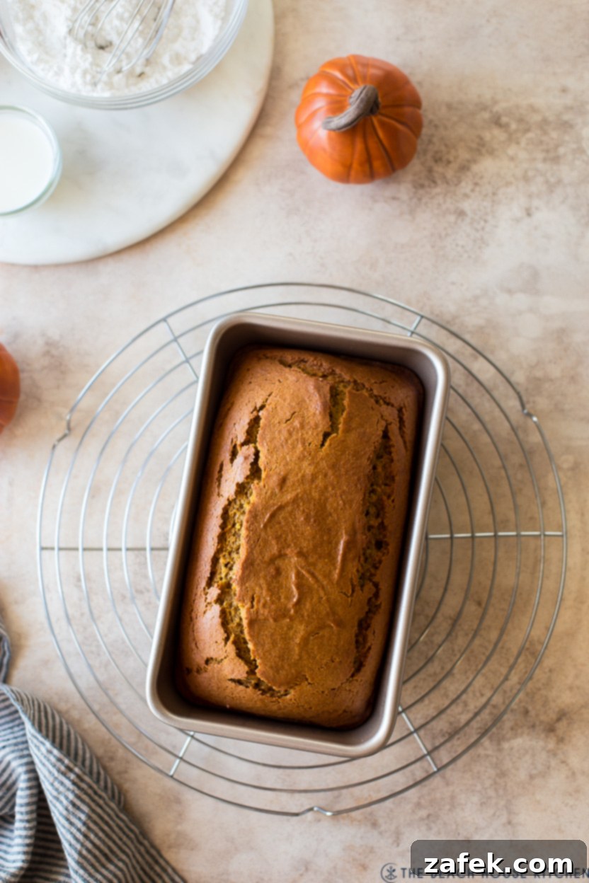 Cozy Maple Kissed Pumpkin Bread 9 An overhead photo of a perfectly baked, unglazed pumpkin bread loaf sitting in its pan on a wire rack, steam gently rising.