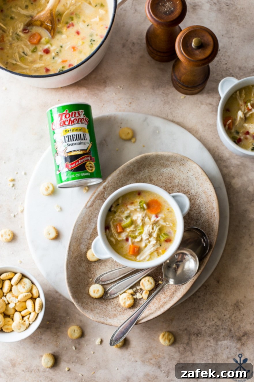 Soulful Cajun Chicken & Rice Soup 7 An inviting overhead view of a bowl of hearty chicken soup, presented on a brown oval plate, with a can of Tony Chachere's Original Creole Seasoning subtly placed to the side, emphasizing the key flavor component.