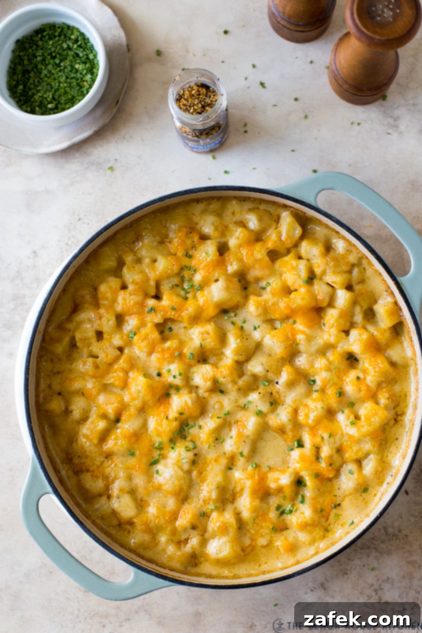 Overhead photo of a baking dish of golden-brown cheesy potatoes, fresh from the oven, with melted cheese and a crispy top.