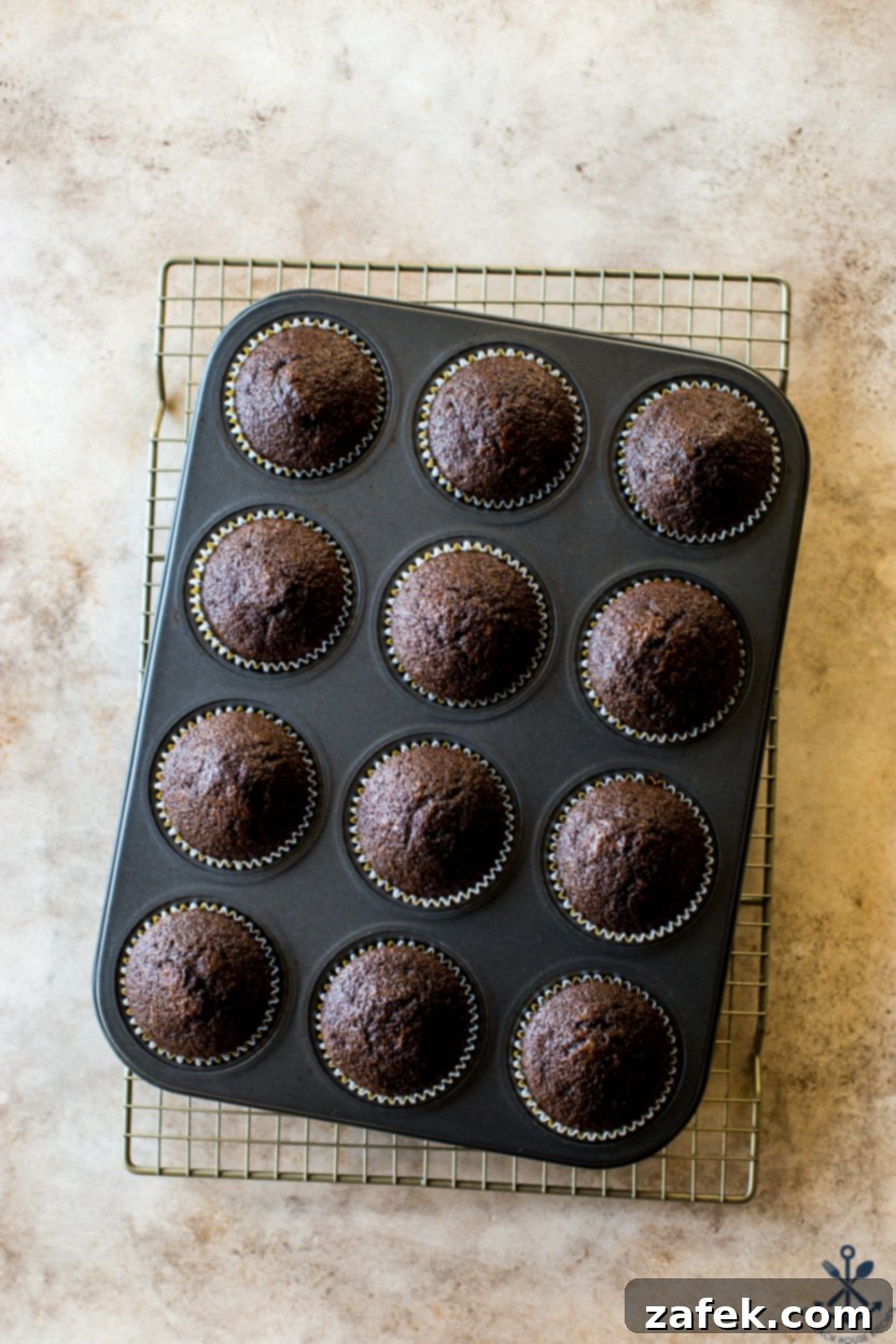 Decadent Double Chocolate Delights 6 A beautifully frosted double chocolate cupcake with a perfect swirl of chocolate buttercream