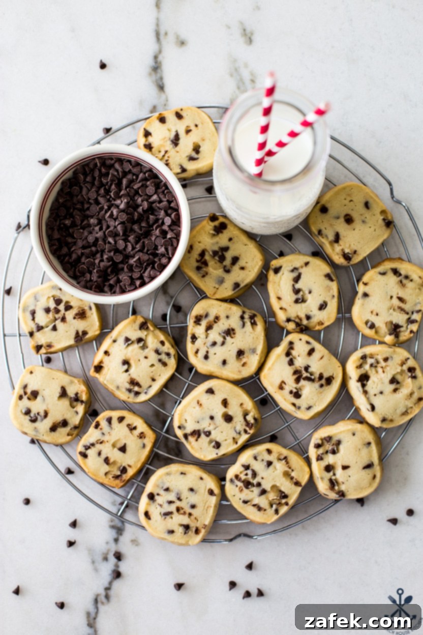 Tropical Chocolate Chip Cookie Logs 3 A beautifully arranged overhead shot of baked coconut chocolate chip cookies, showcasing their golden hue and inviting texture, with the promise of delightful flavor.