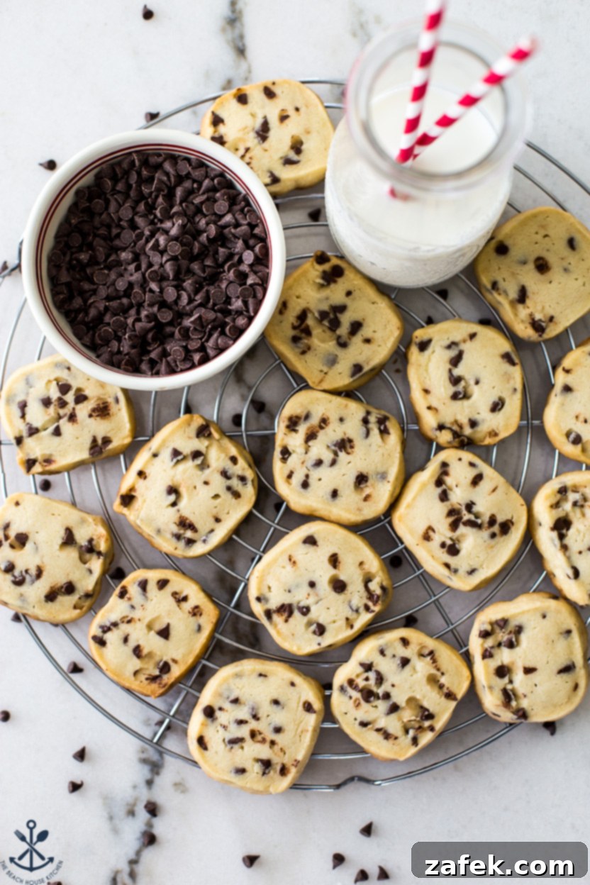 Tropical Chocolate Chip Cookie Logs 7 Overhead photo of freshly baked chocolate chip shortbread cookies artfully arranged with a small bowl of mini chocolate chips and a bottle of milk, highlighting their inviting appeal.