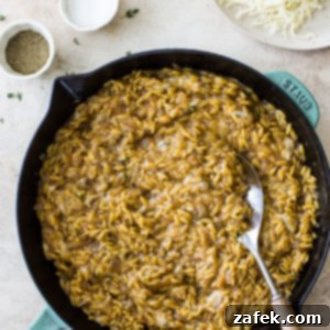 Overhead photo of a skillet of French Onion Orzo