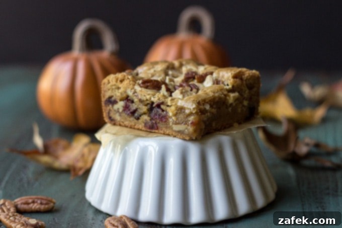 Close-up on the chewy texture of a blondie