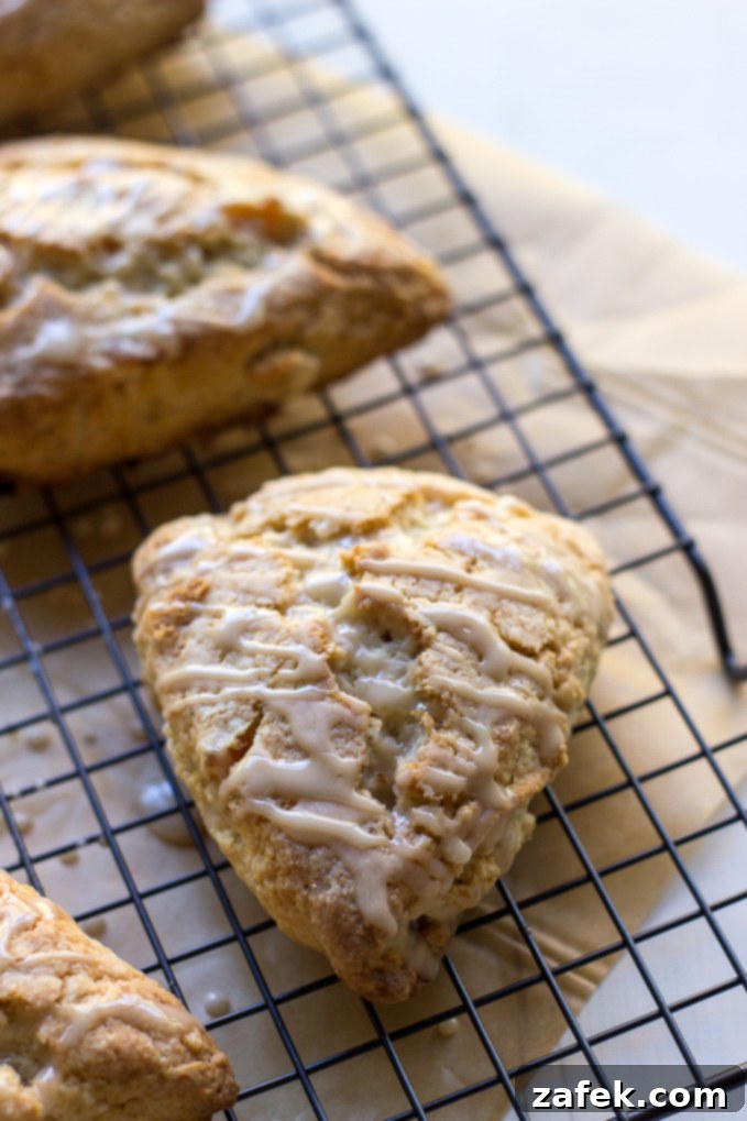 Maple Kissed Apricot Walnut Scones 2 Apricot Walnut Scones with Maple Glaze, freshly baked on a cooling rack