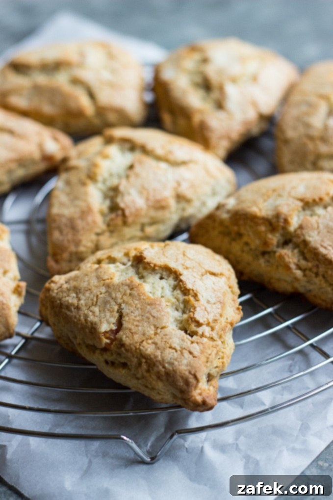 Maple Kissed Apricot Walnut Scones 4 Assortment of freshly baked Apricot Walnut Scones ready for glazing