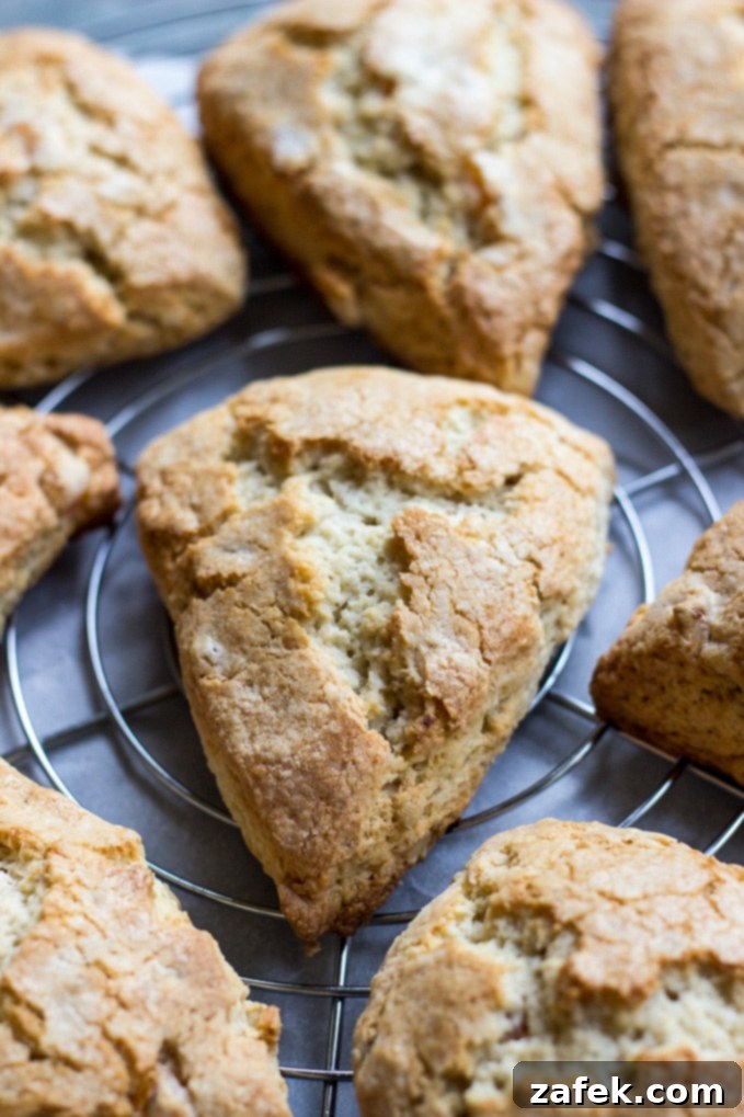 Maple Kissed Apricot Walnut Scones 5 Single Apricot Walnut Scone with a generous drizzle of maple glaze