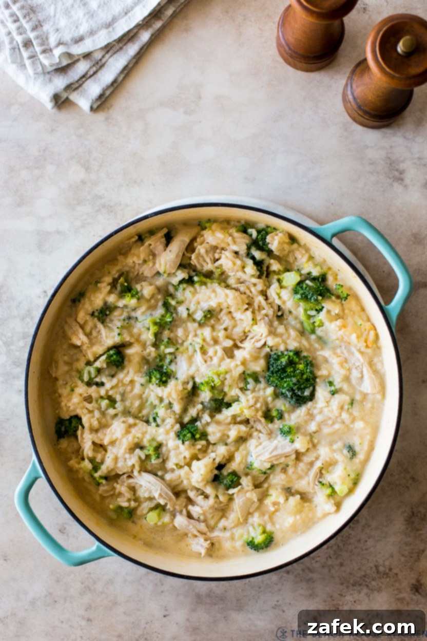 Creamy Chicken and Broccoli Rice Casserole 8 Overhead photo of a rice dish with broccoli and chicken