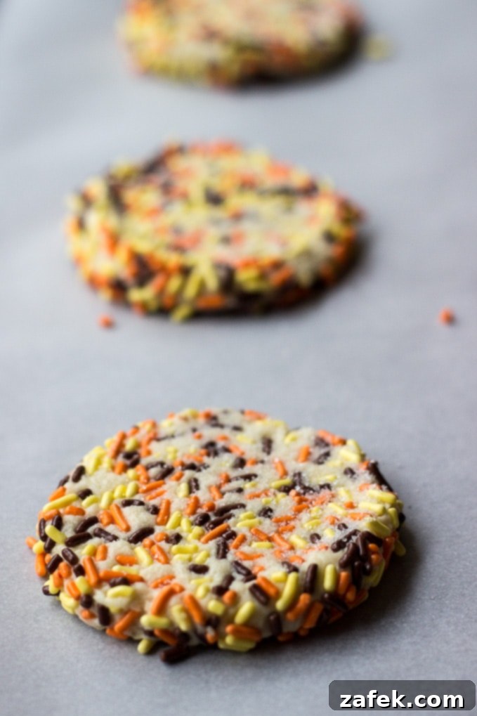 A close-up side view of a Classic Sprinkled Sugar Cookie, showing its soft texture and colorful sprinkles.