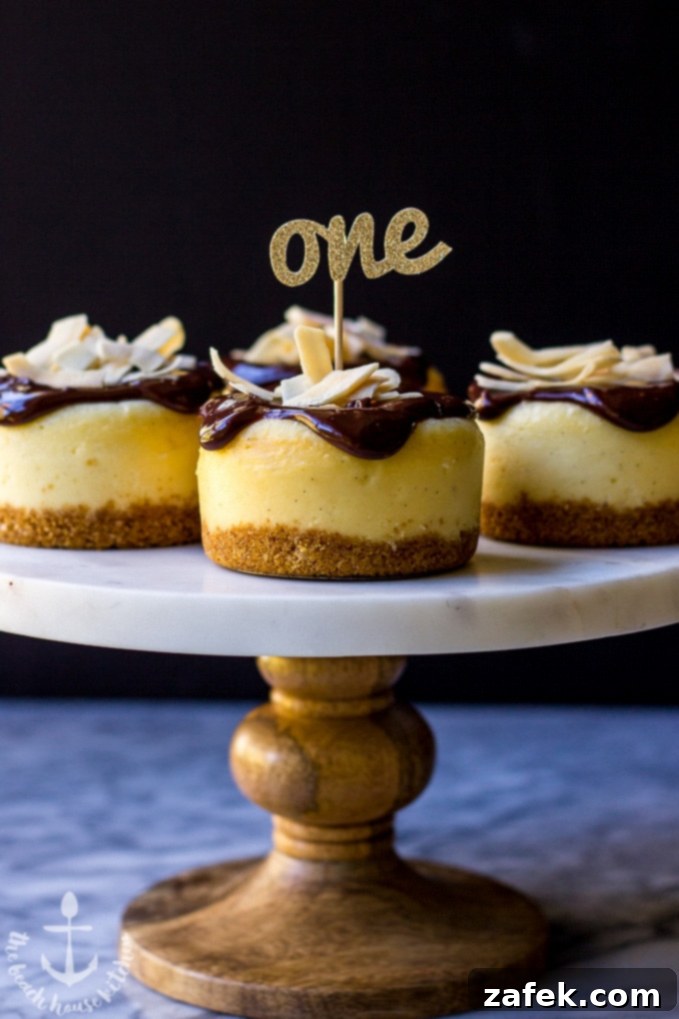 Exquisite Vanilla Bean Cheesecake with Toasted Coconut Crust Topped with Smooth Chocolate Ganache