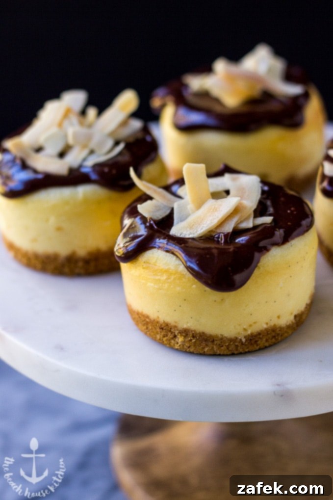 Mini Vanilla Bean Cheesecakes with Toasted Coconut Chip Crust and Chocolate Ganache, Ready to Serve