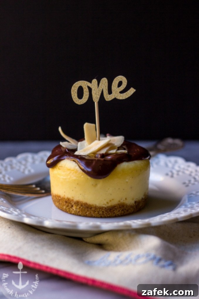 Top-down view of a Vanilla Bean Cheesecake with Toasted Coconut Chip Crust Topped with Rich Chocolate Ganache
