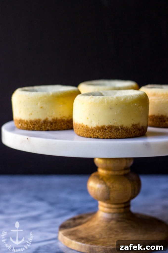 Close-up of a mini cheesecake, ready to be enjoyed