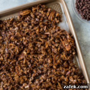 Cherry Chocolate Crunch 7 Chocolate Cherry Granola