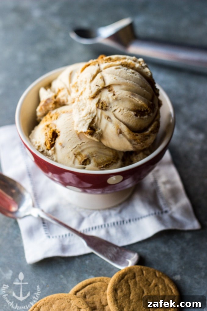 Salted Caramel Gingersnap Delight 3 Close-up of Salted Caramel Gingersnap Ice Cream, showing its creamy texture and visible gingersnap pieces.