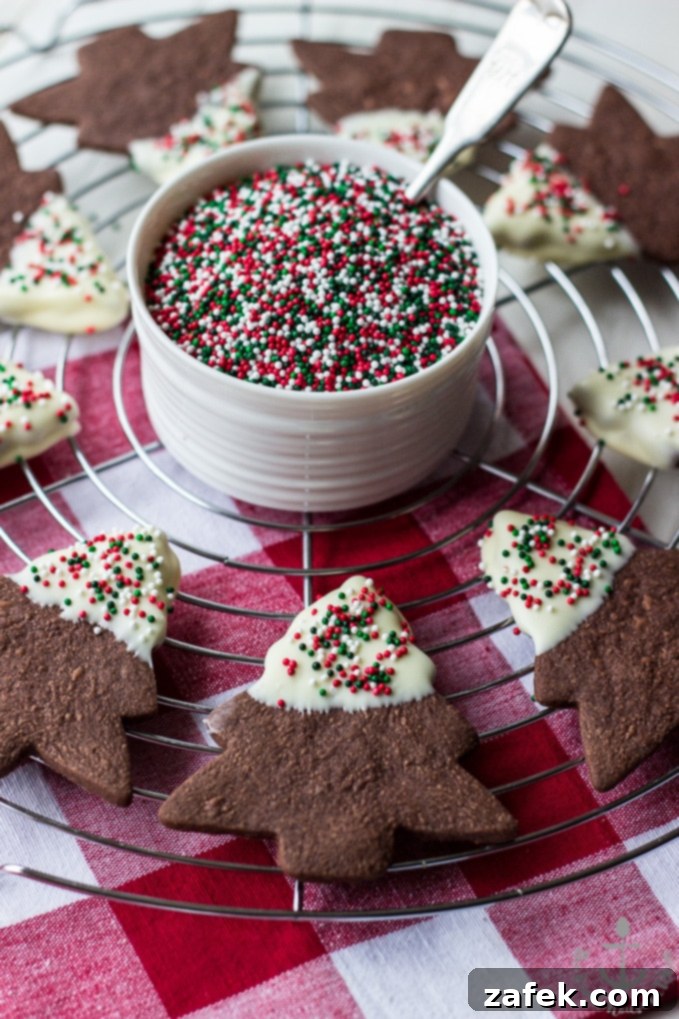 White Chocolate Dipped Chocolate Shortbread Holiday Cutout Cookies