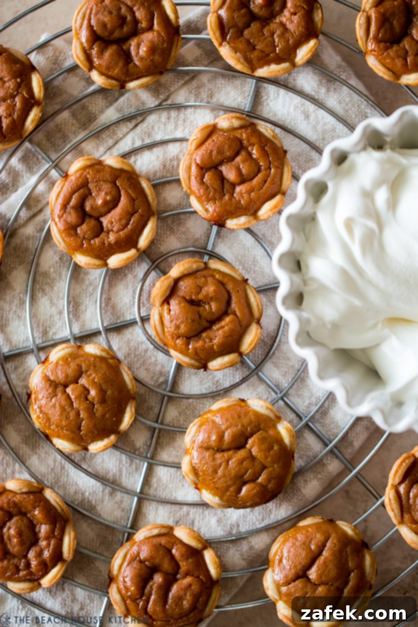 Overhead photo of small pumpkin pies on a wire rack