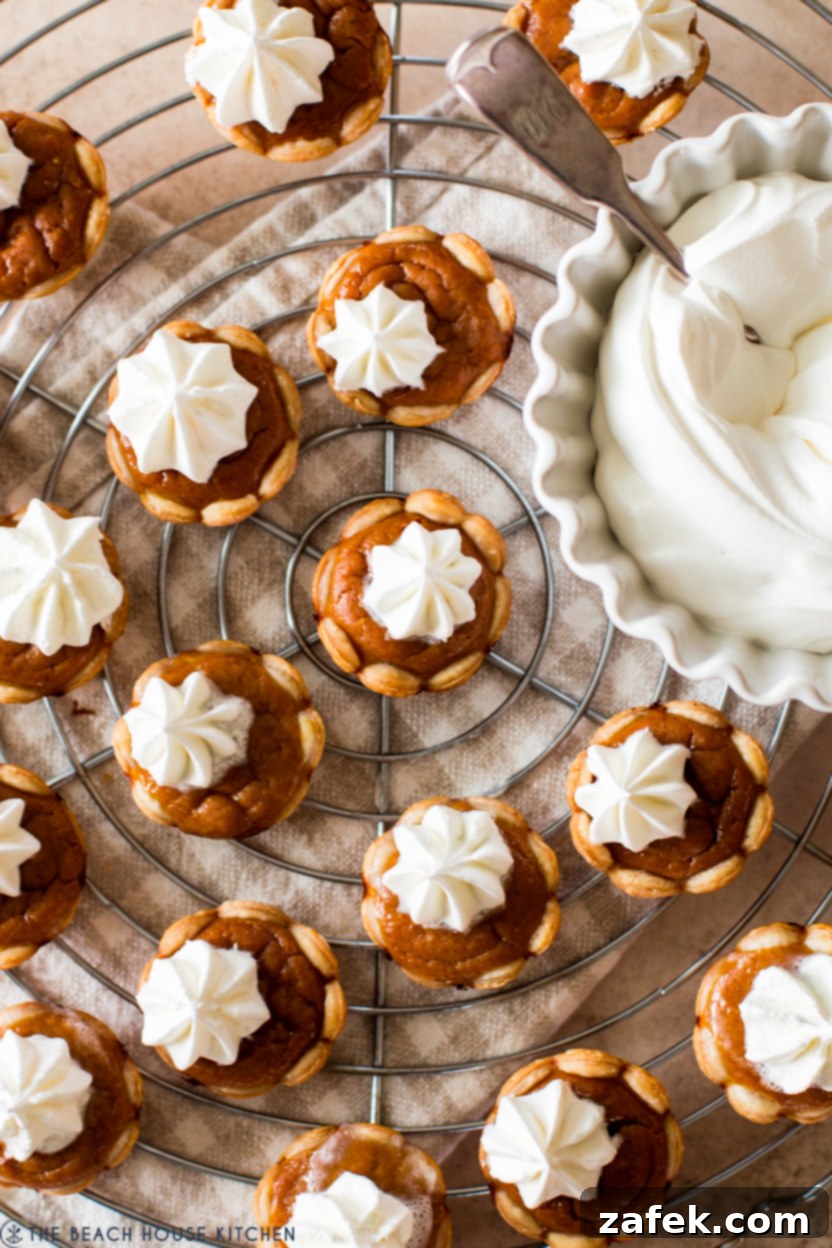 Up close overhead photo of small pumpkin pies topped with whipped cream