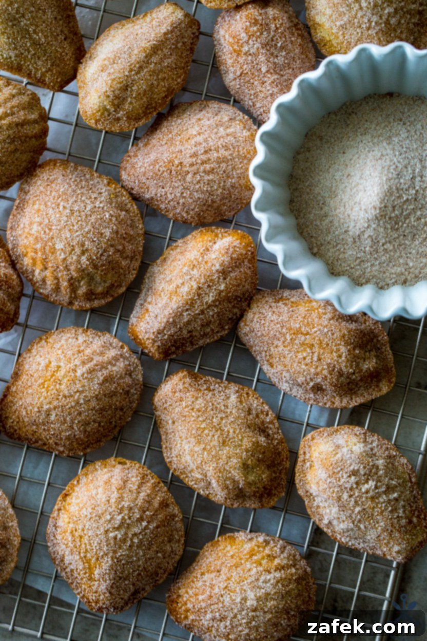 Overhead photo of freshly baked madeleines cooling on a wire rack, with a small white bowl of cinnamon sugar nearby.