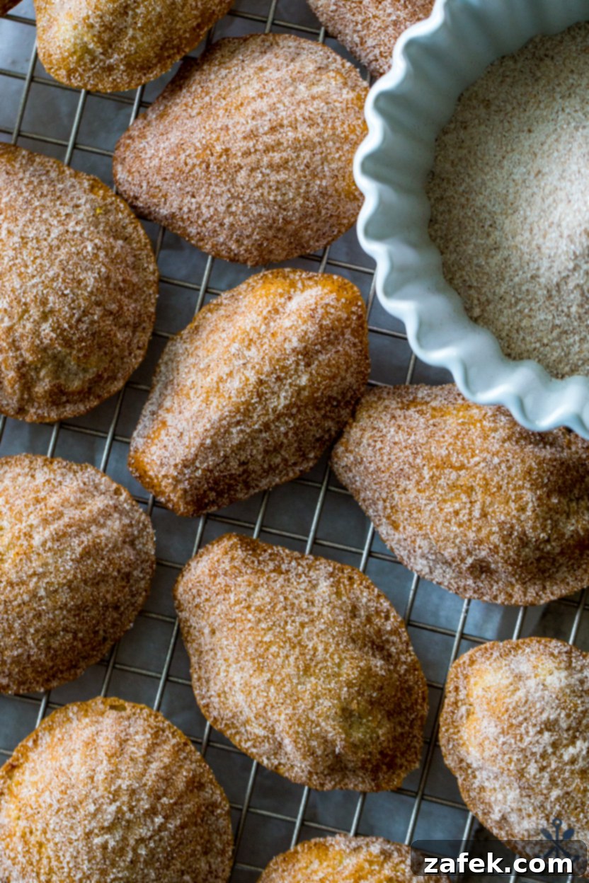 Up close overhead photo of a cluster of cinnamon sugar-coated madeleine cookies, showcasing their texture and coating.