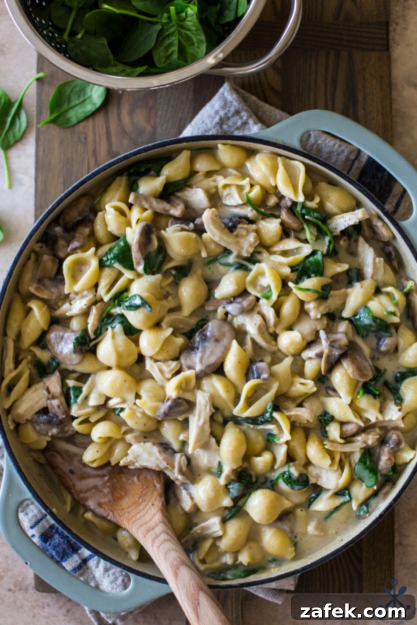 One-Pan Turkey Tetrazzini 2 Overhead photo of turkey tetrazzini in a skillet