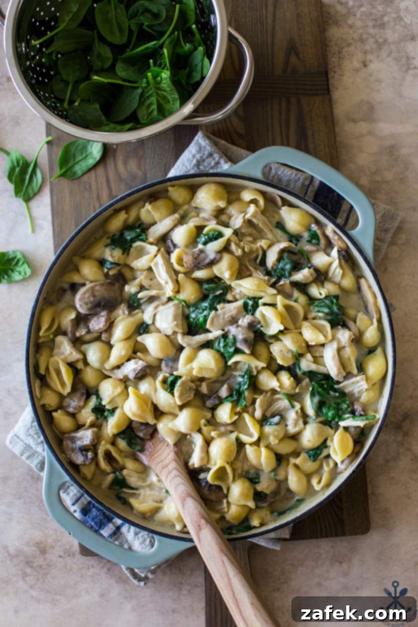 One-Pan Turkey Tetrazzini 3 Overhead photo of Stovetop Turkey Tettrazzini
