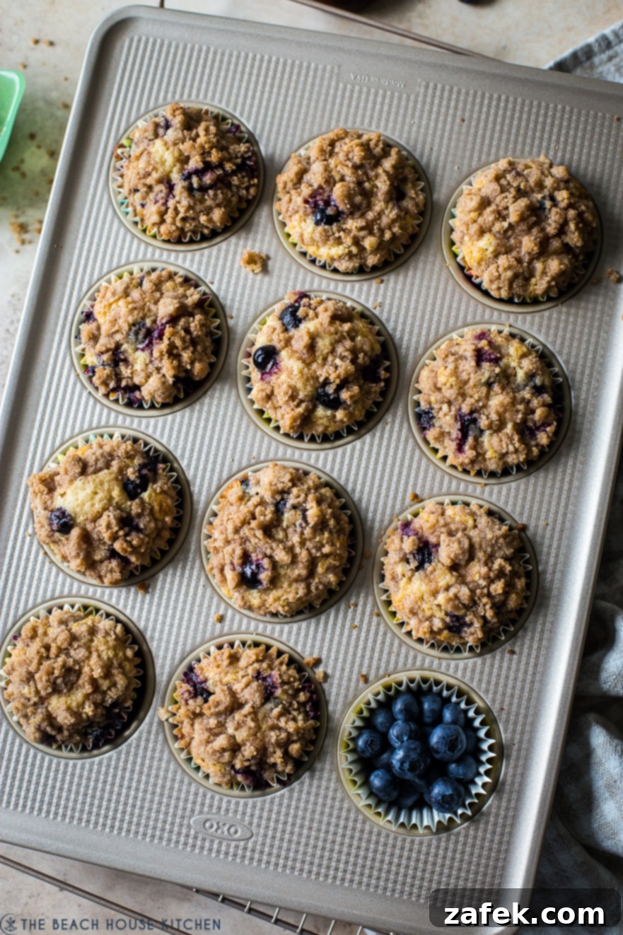 Delicious Bakery Style Blueberry Muffins fresh out of the oven in a muffin pan