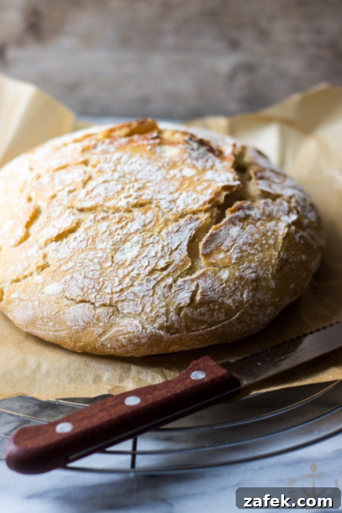 A freshly baked rustic no-knead bread loaf with a perfectly golden-brown, crackled crust