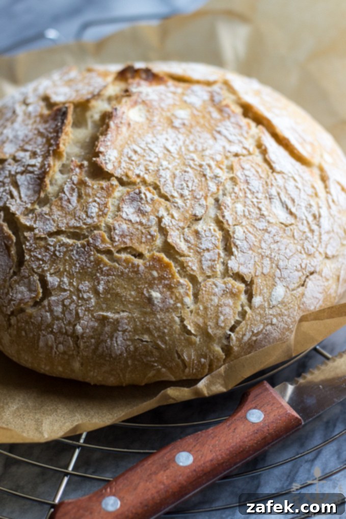 A slice of the rustic no-knead bread cooling on a wire rack, highlighting its light and airy interior
