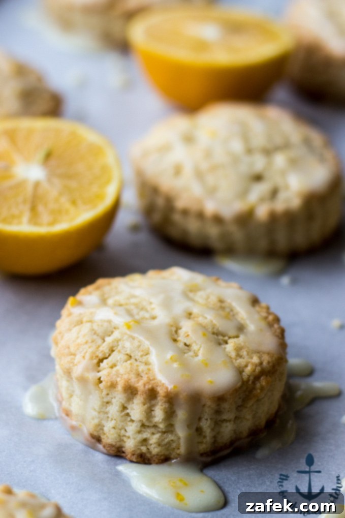 Meyer Lemon Cream Scones, golden brown and drizzled with lemon glaze, on a white plate ready to be served