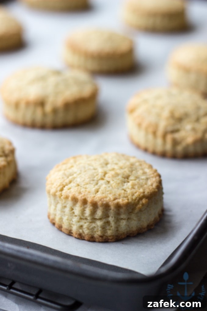 Freshly baked Meyer Lemon Cream Scones, drizzled with glaze, arranged artfully on a white plate