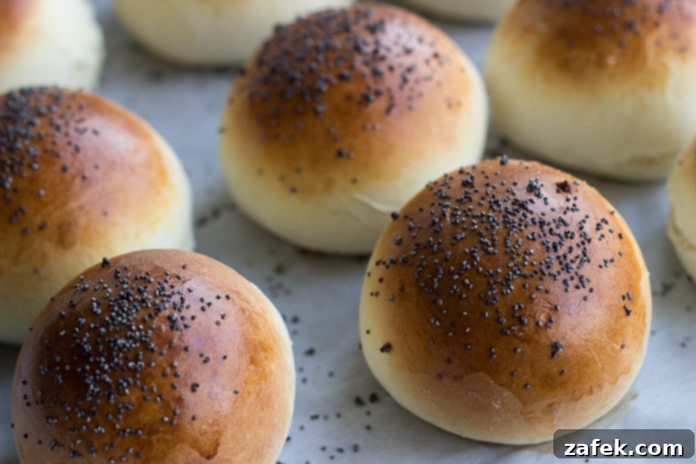 Golden Festive Brioche Buns 6 Holiday Brioche Rolls with poppy seeds