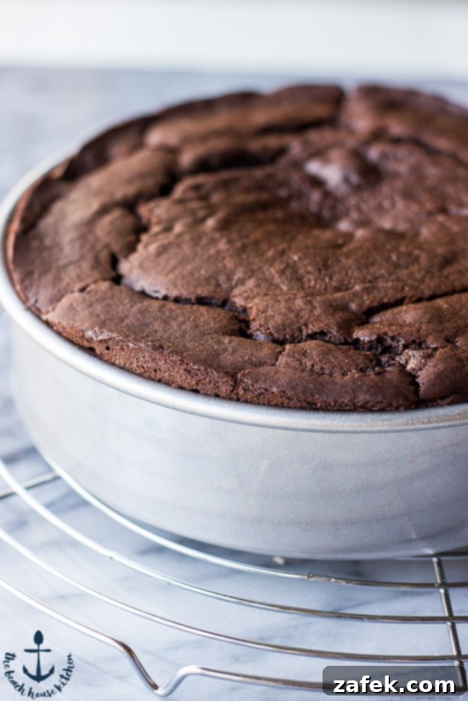 Close-up of Devil Dog Cake with cocoa dusting