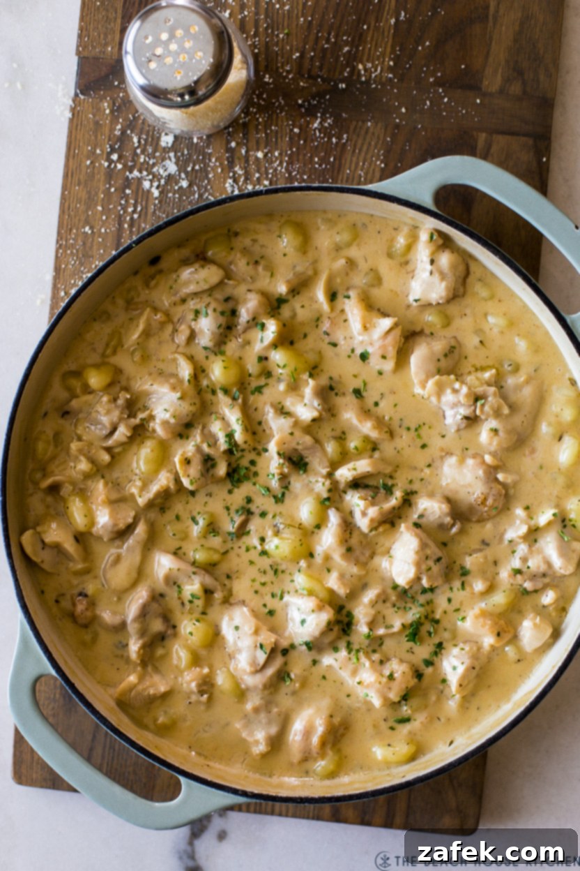 Luscious Garlic Chicken Gnocchi 2 Overhead photo of a skillet filled with a creamy chicken gnocchi dish, garnished with fresh parsley