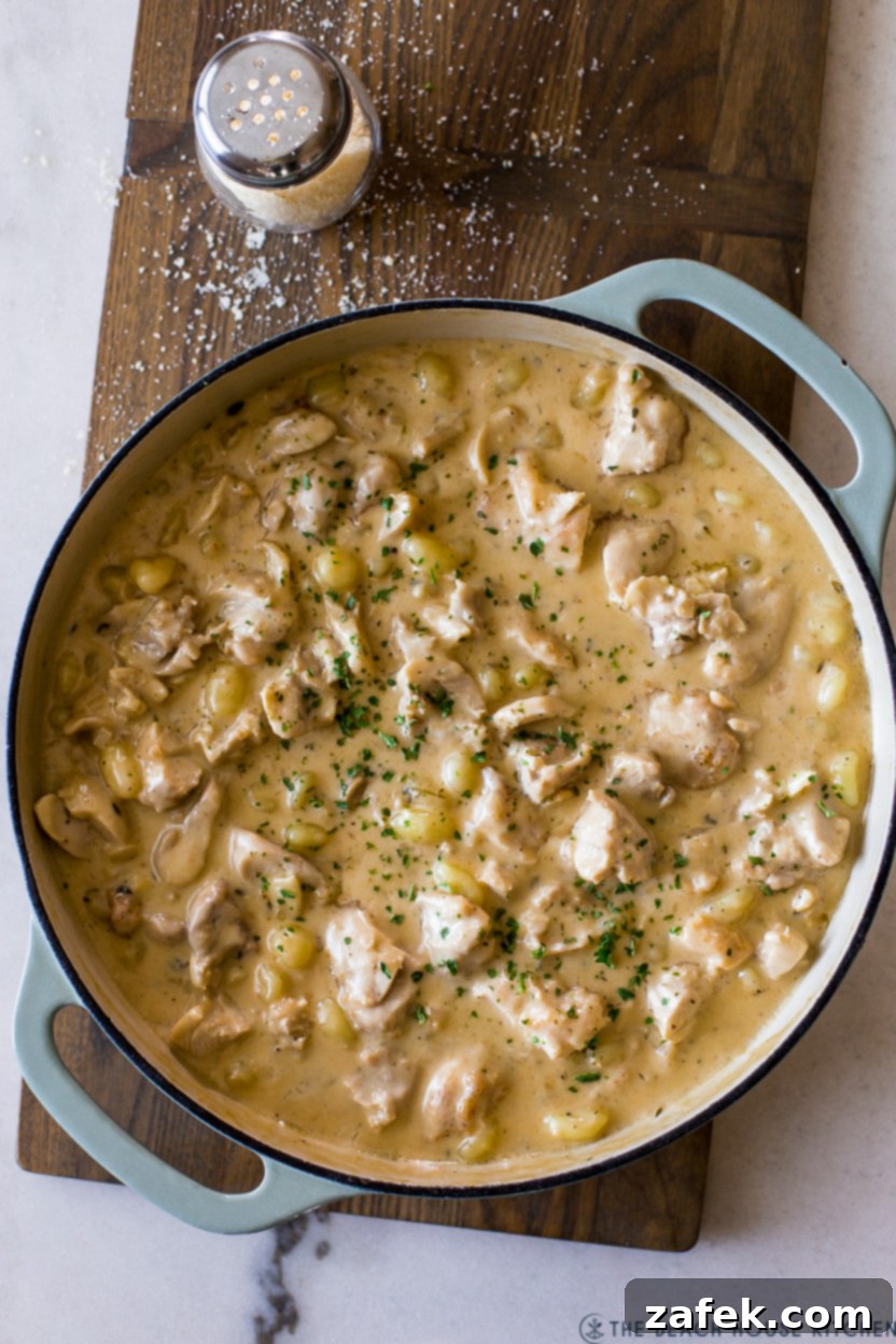 Luscious Garlic Chicken Gnocchi 3 Overhead photo of a skillet filled with a creamy chicken and gnocchi, ready to be served