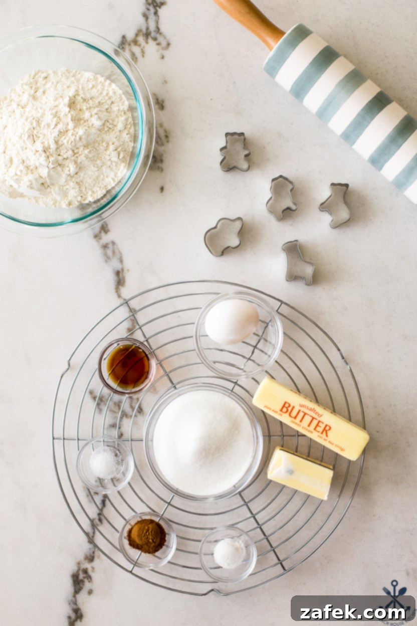 Overhead photo of ingredients for animal cookies