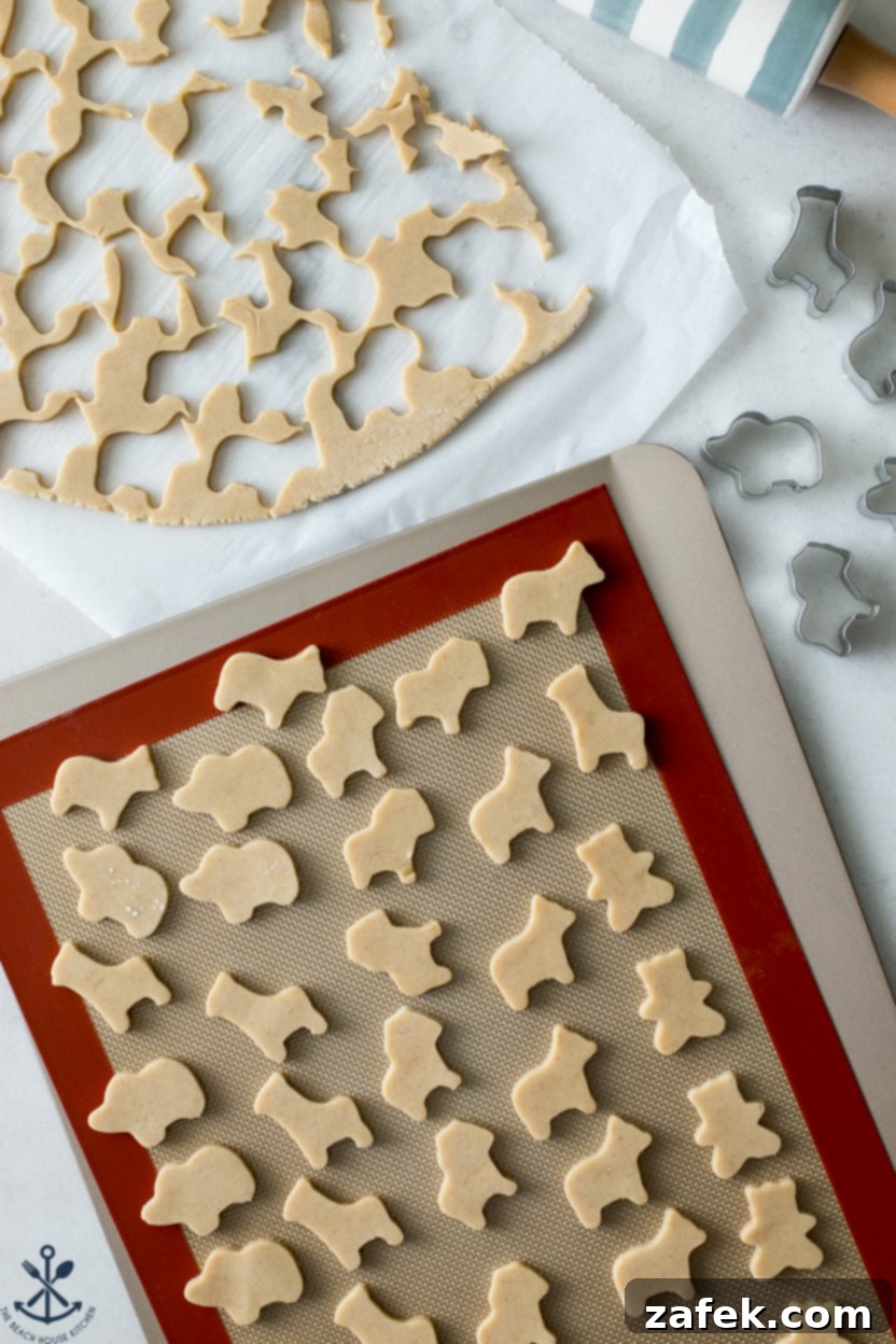 Overhead photo of cutout animal cookies