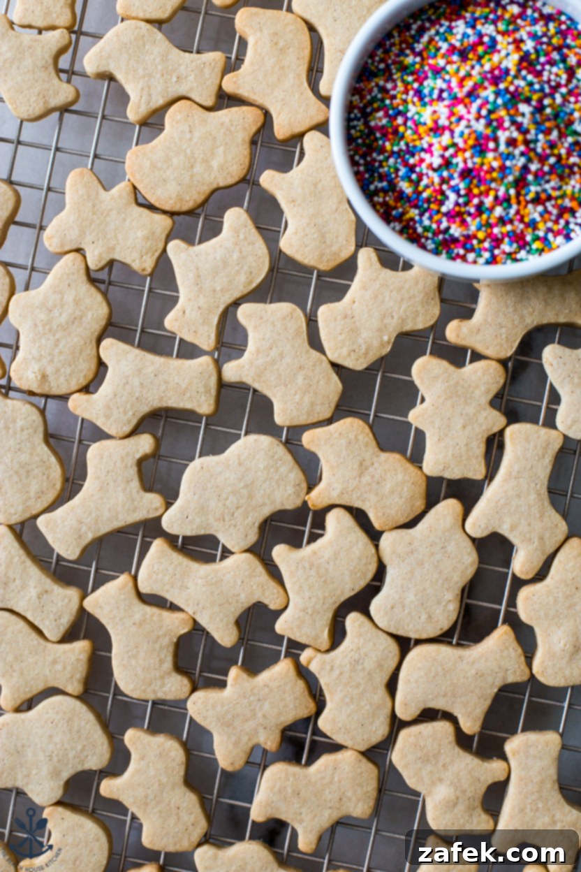 Up close overhead photo of pre-iced cutout animal cookies