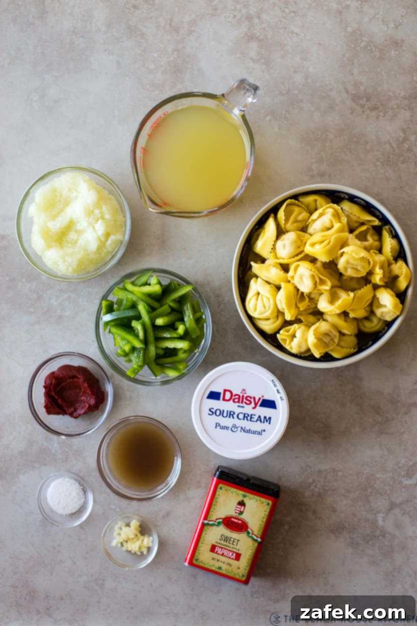 Overhead photo displaying all the fresh, simple ingredients laid out for chicken tortellini paprikash, including paprika, onions, bell peppers, tortellini, and sour cream.